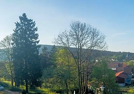 Haus Waldwiese Nocleg ze śniadaniem 3*